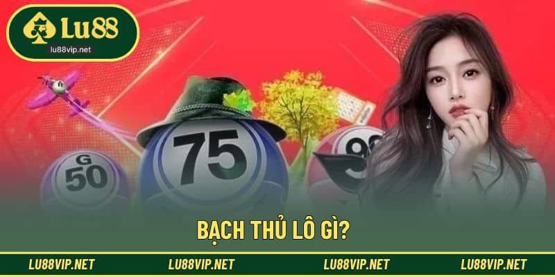 Giới thiệu bạch thu lô gì ấn tượng trong xổ số
