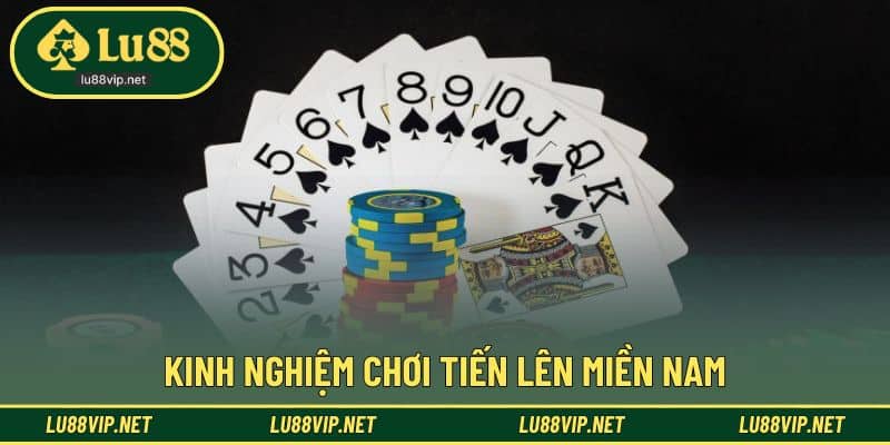 Chia sẻ kinh nghiệm cá cược thực tế dễ áp dụng