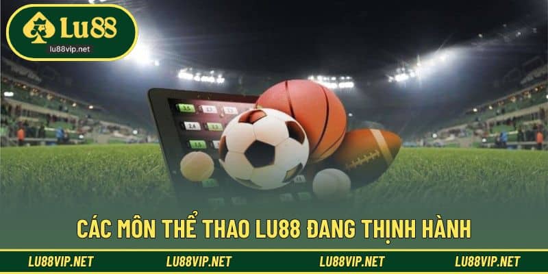 Danh sách bộ môn cá cược được nhiều người quan tâm