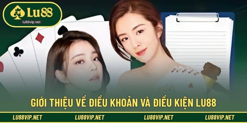 Khái quát về nội dung điều khoản và điều kiện áp dụng