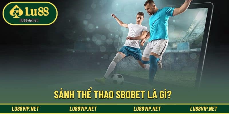 Giới thiệu cơ bản sảnh SBOBET tại Lu88
